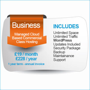 Managed Business Hosting Package