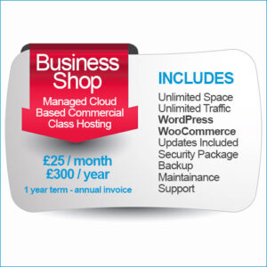 Managed Business E-Commerce Shop Hosting Package