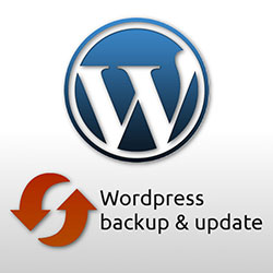 WordPress backup and update